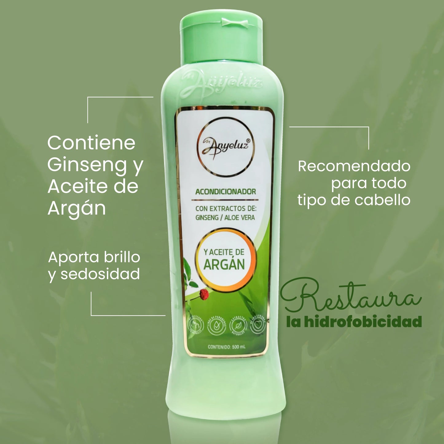 Acondicionador de Argán y Aloe Vera Anyeluz