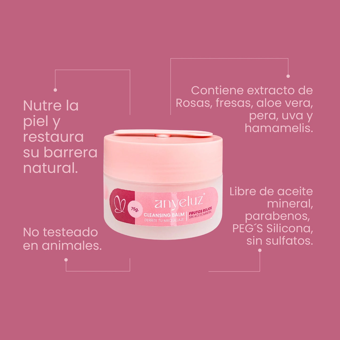Desmaquillador Frutos Rojos (Cleansing Balm) Anyeluz