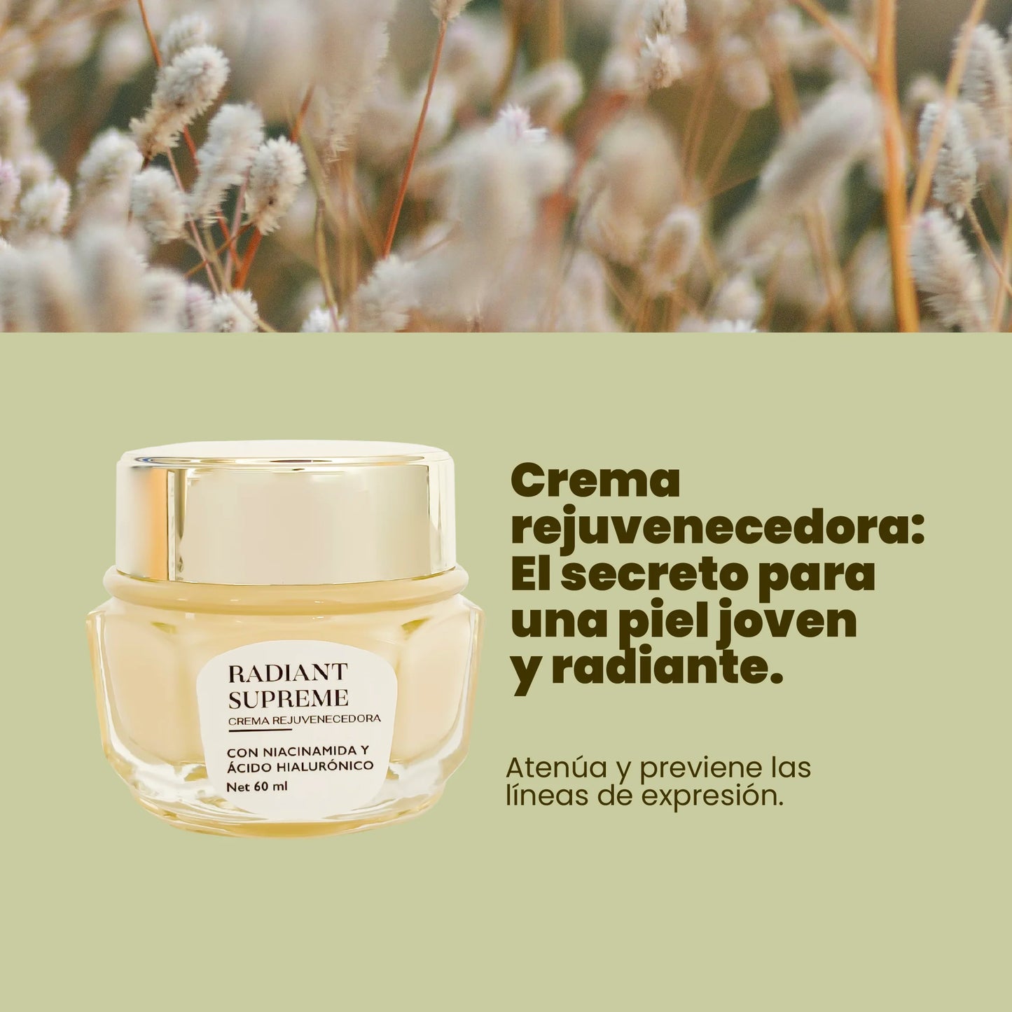 Crema Rejuvenecedora Radiant Anyeluz