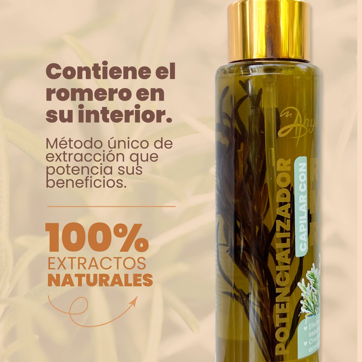 Potencializador capilar con Romero Anyeluz